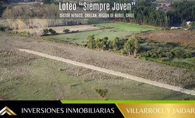Parcela en Venta en VENTA DE PARCELA CHILLÁN VIEJO