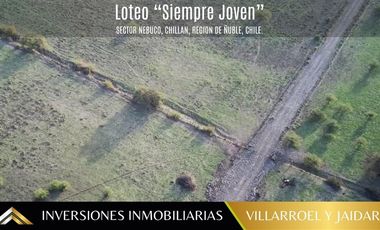 Parcela en Venta en VENTA DE PARCELA CHILLÁN VIEJO