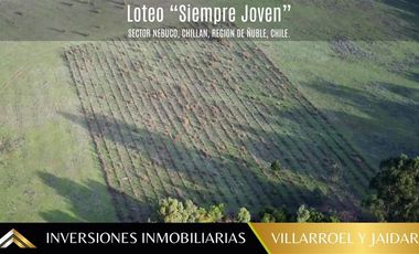 Parcela en Venta en VENTA DE PARCELA CHILLÁN VIEJO