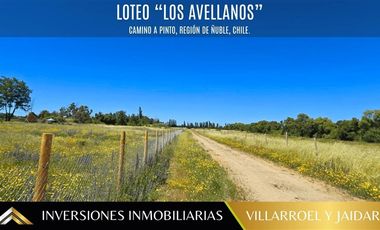 Parcela en Venta en VENTA DE PARCELA CAMINO A PINTO