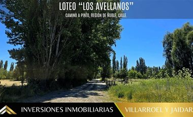 Parcela en Venta en VENTA DE PARCELA CAMINO A PINTO