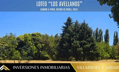 Parcela en Venta en VENTA DE PARCELA CAMINO A PINTO