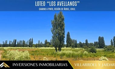 Parcela en Venta en VENTA DE PARCELA CAMINO A PINTO