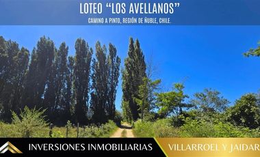 Parcela en Venta en VENTA DE PARCELA CAMINO A PINTO