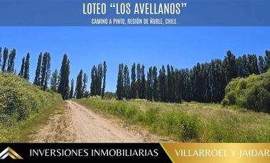 Parcela en Venta en VENTA DE PARCELA CAMINO A PINTO