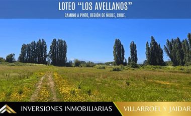 Parcela en Venta en VENTA DE PARCELA CAMINO A PINTO