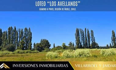 Parcela en Venta en VENTA DE PARCELA CAMINO A PINTO