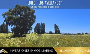 Parcela en Venta en VENTA DE PARCELA CAMINO A PINTO