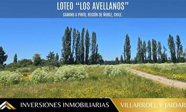 Parcela en Venta en VENTA DE PARCELA CAMINO A PINTO