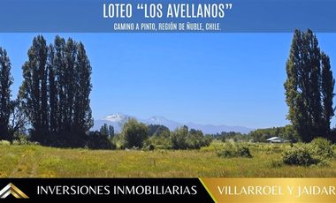 Parcela en Venta en VENTA DE PARCELA CAMINO A PINTO