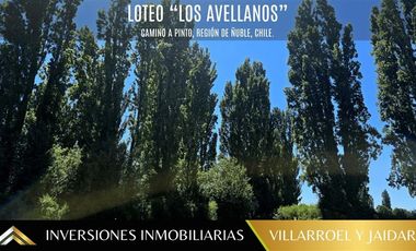 Parcela en Venta en VENTA DE PARCELA CAMINO A PINTO