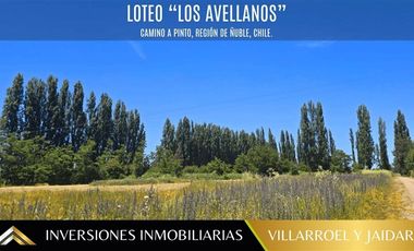 Parcela en Venta en VENTA DE PARCELA CAMINO A PINTO