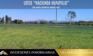 Parcela en Venta en SAN JAVIER. REGIÓN DEL MAULE