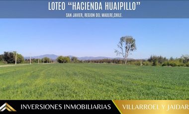 Parcela en Venta en SAN JAVIER. REGIÓN DEL MAULE