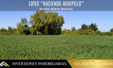 Parcela en Venta en SAN JAVIER. REGIÓN DEL MAULE