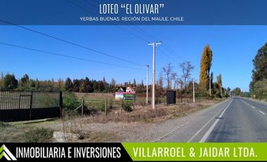 Parcela en Venta en YERBAS BUENAS, REGIÓN DEL MAULE