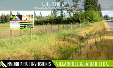 Parcela en Venta en YERBAS BUENAS, REGIÓN DEL MAULE