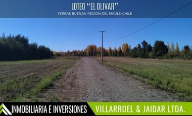 Parcela en Venta en YERBAS BUENAS, REGIÓN DEL MAULE