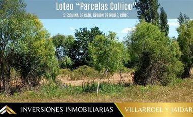 Parcela en Venta en PARCELA EN VENTA 3 ESQUINA DE CATO