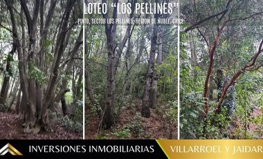 Parcela en Venta en Los Pellines, Camino a las termas de Chillan