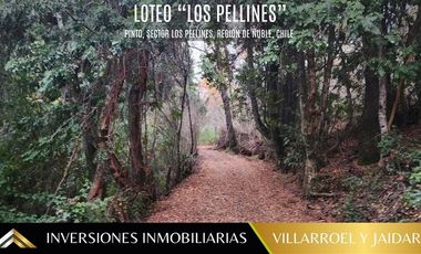 Parcela en Venta en Los Pellines, Camino a las termas de Chillan
