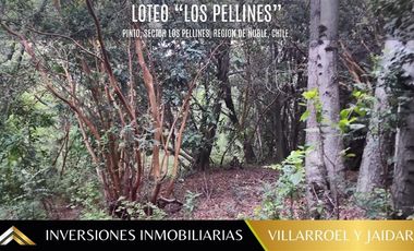 Parcela en Venta en Los Pellines, Camino a las termas de Chillan