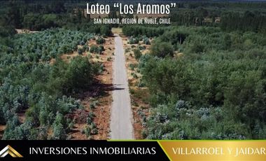 Parcela en Venta en San Ignacio, ñuble