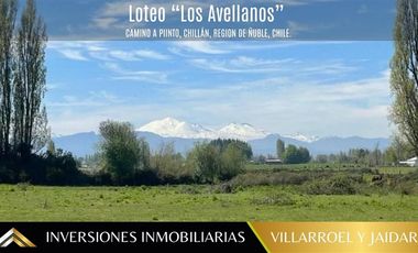 Parcela en Venta en Camino a Pinto