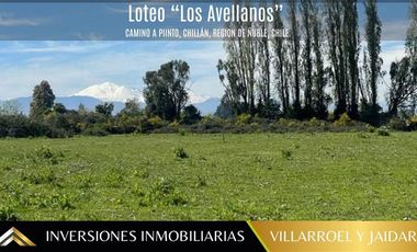 Parcela en Venta en Camino a Pinto