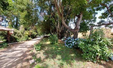 Agrícola en Venta en Linares