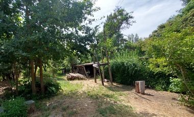 Agrícola en Venta en Linares