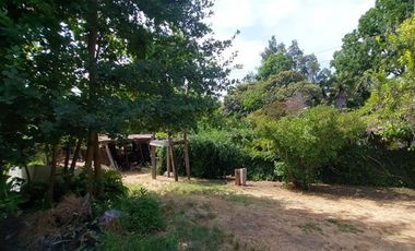 Agrícola en Venta en Linares