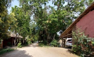 Agrícola en Venta en Linares