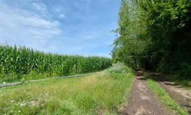 Agrícola en Venta en Linares