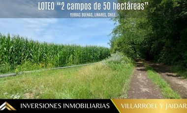 Agrícola en Venta en Linares