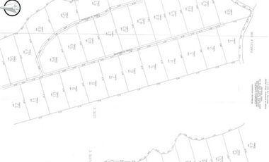 Agrícola en Venta en Linares