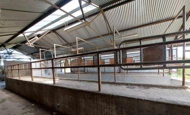 Agrícola en Venta en Linares