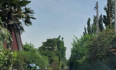 Agrícola en Venta en Linares