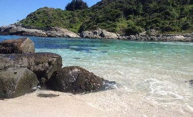 Departamento en Arriendo en Campus del mar 1111