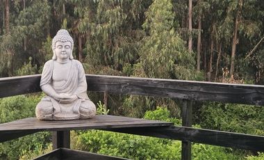 Departamento en Arriendo en Campus del mar 1111