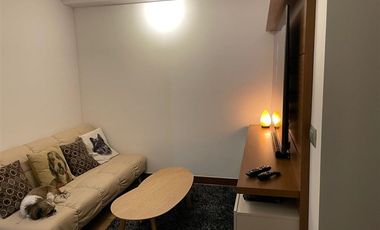 Departamento en Venta en Camino del Parque 150