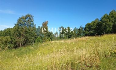 Sitio en Venta en Cruce Las Quemas y Ruta 5