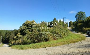 Sitio en Venta en Cruce Las Quemas y Ruta 5