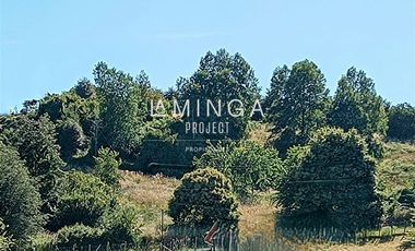 Sitio en Venta en Cruce Las Quemas y Ruta 5