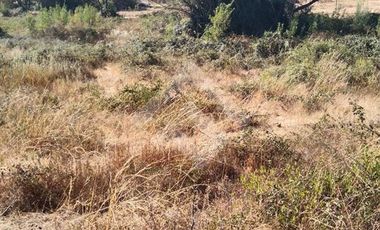 Sitio en Venta en Alupahue/el yacal
