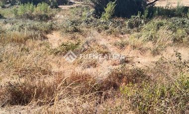 Sitio en Venta en Alupahue/el yacal