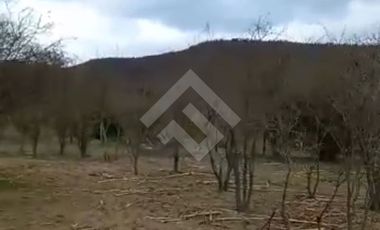 Sitio en Venta en Fundo Los Capachos/Curacavi