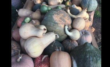 Casa en Venta en manantiales SV