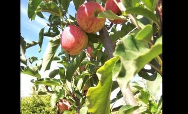 Casa en Venta en manantiales SV