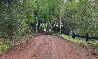 Sitio en Venta en Lago Ranco Calcurrupe